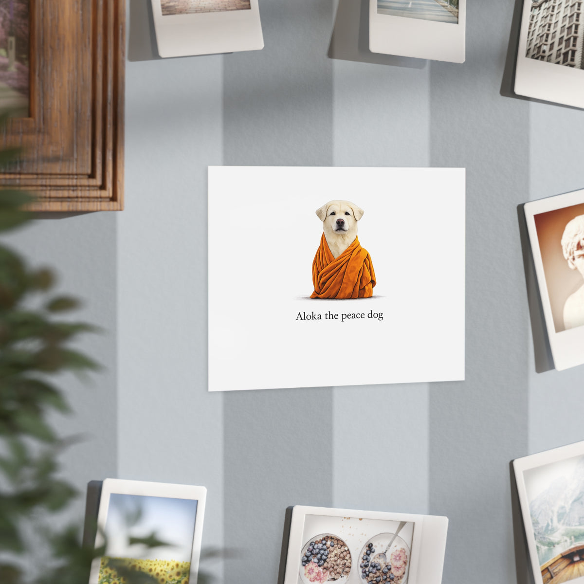 Aloka the Peace Dog – Companion Poster